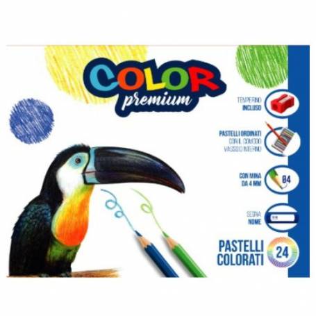 Color Premium 24 Pastelli Jumbo Pastello Legno Max Mina 5mm Colori Intensi 