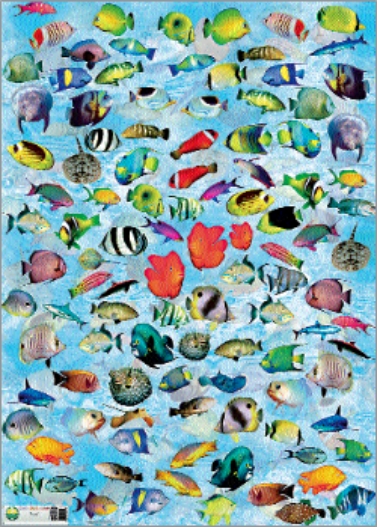 clicca su immagine per consultare dettagli, vedere altre foto e ordinare Carta per decoupage mis. 50x70 - fig.116 pesci
