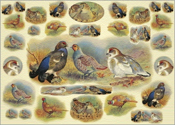clicca su immagine per consultare dettagli, vedere altre foto e ordinare Carta per decoupage mis. 50x70 - fig.110 uccelli