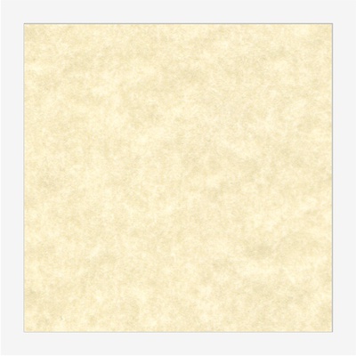 Cartoncino Bianco A4 gr.160 Mondi Color Copy fogli 250 » Il QuadrifoglioWeb